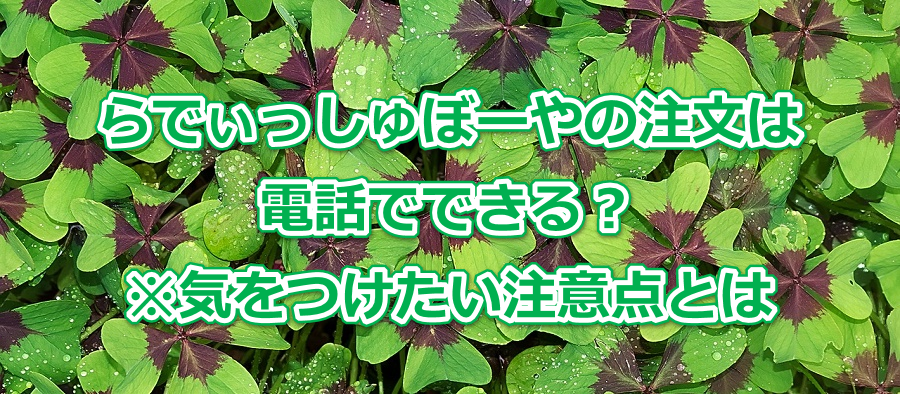 らでぃっしゅぼーやの注文は電話でできる?※気をつけたい注意点とは